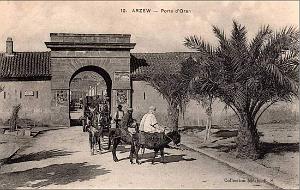 ARZEW 119